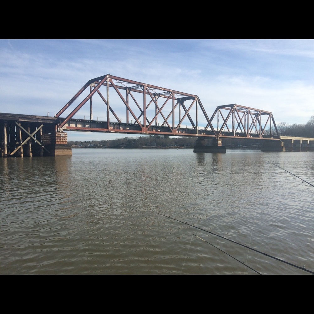 Meet your Posher, Marie